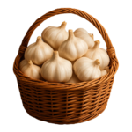Garlic