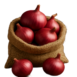 Onion (1)